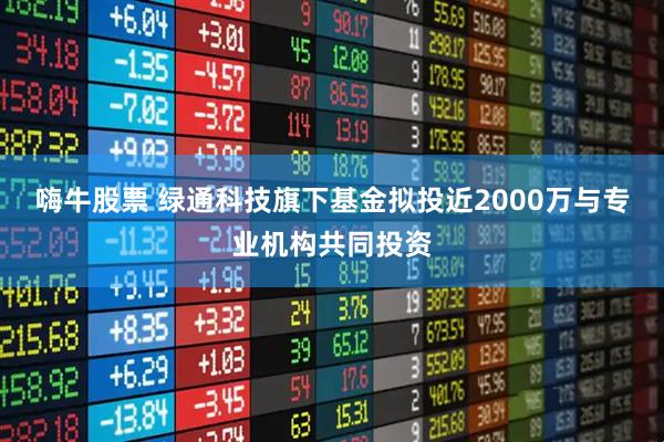 嗨牛股票 绿通科技旗下基金拟投近2000万与专业机构共同投资