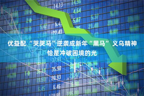 优益配 “哭哭马”逆袭成新年“黑马” 义乌精神恰是冲破困境的光